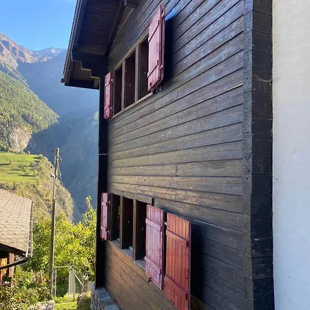 Castanea Alta Мёрель